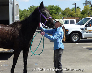 WFLF shelter partnership saves lives